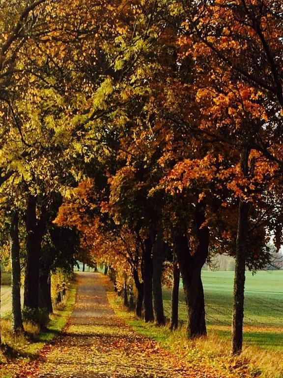 Stora Djuloe Vandrarhem Katrineholm Bagian luar foto