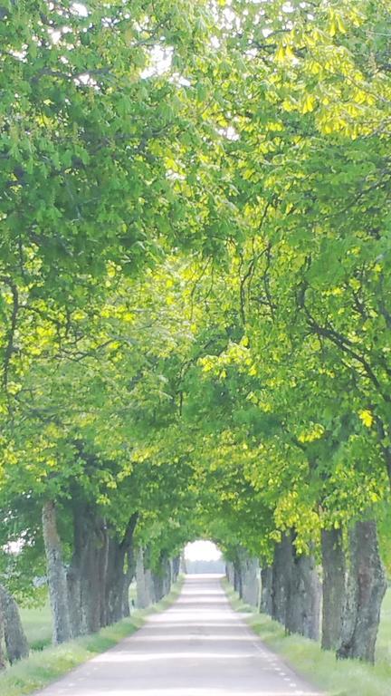 Stora Djuloe Vandrarhem Katrineholm Bagian luar foto