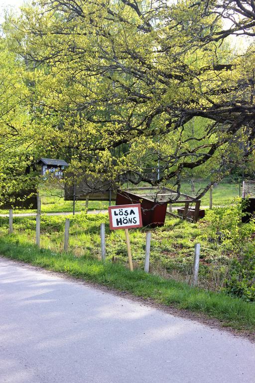 Stora Djuloe Vandrarhem Katrineholm Bagian luar foto